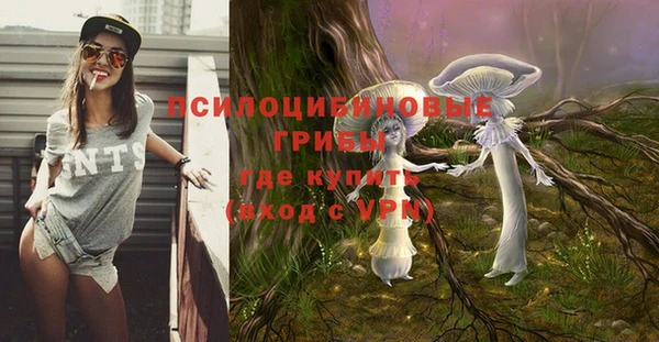 амфетамин Новодвинск