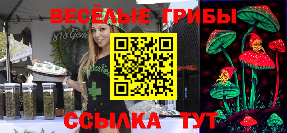 Псилоцибиновые грибы мицелий Кимры