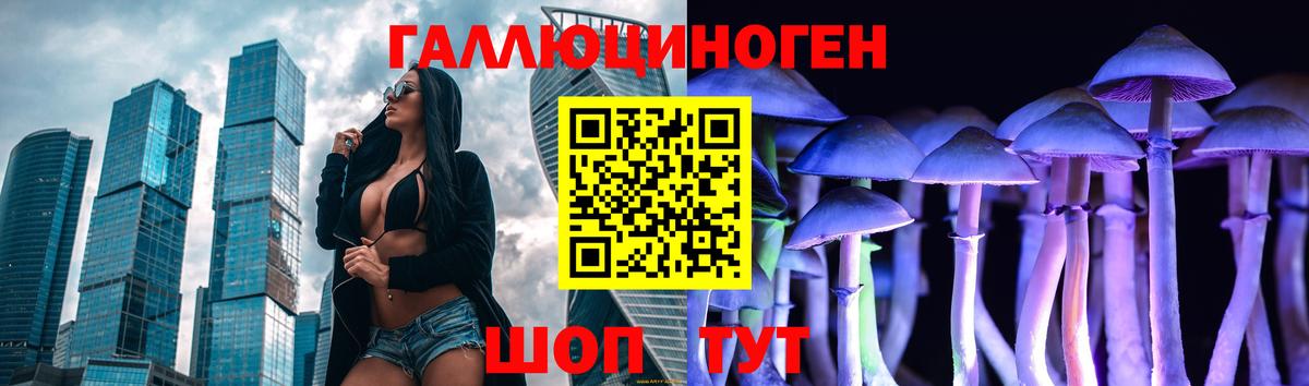 Кимры  Галлюциногенные грибы Cubensis  Вход с VPN 