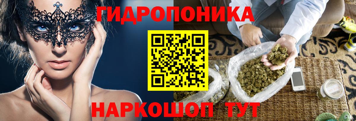 Конопля Amnesia  Кимры  Каннабис сатива  Бошки марихуана сатива  Бошки Шишки LSD WEED 